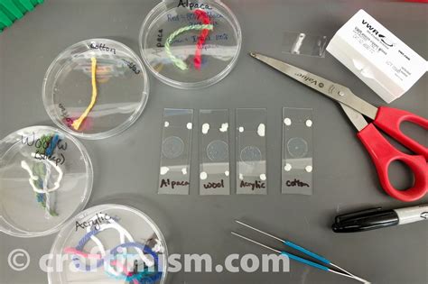 Image result for Wool Under a Microscope