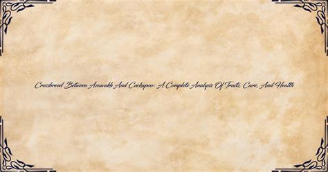 Image result for Cockapoo Traits