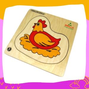 BRILLA Hen Life Cycle Puzzle with Augmented Reality Based Stories and ...