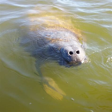 MANGROVE MANIACS - All You Need to Know BEFORE You Go 2026 (with Photos ...