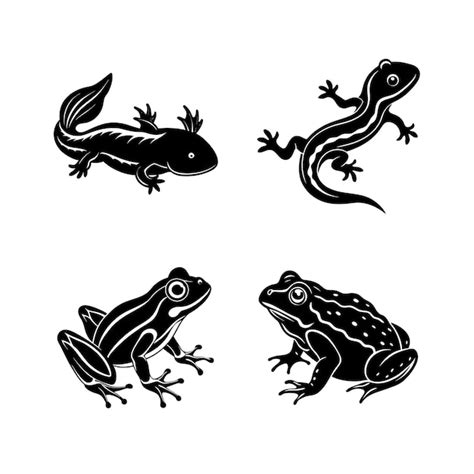 Amphibian domestic animal vector silhouette bundle | Premium Vector
