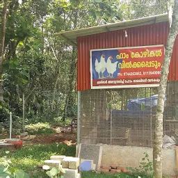 Best Top Rated Chicken shop in Thiruvalla, Kerala, India | Yappe.in