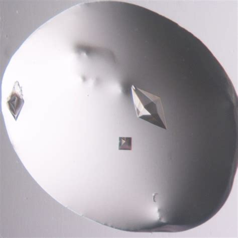 Image result for Microarray Kit