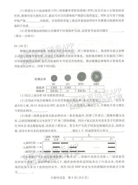 2023武汉四调生物试卷及答案解析（已更新）-高考100