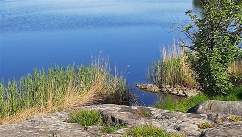BRUNNSVIKEN NATURIST BEACH (2026) All You Need to Know BEFORE You Go ...