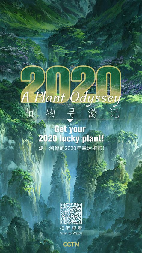 测一测你的2020年幸运植物！