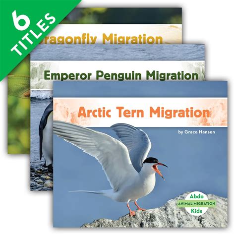 Animal Migration Set (Animal Migration, 2) : Hansen, Grace: Amazon.in ...