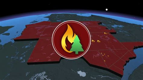 Feux de forêt au Québec : malgré la pluie, plus de 30 000 ha partis en ...