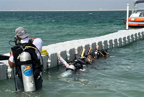 SCUBA HUB DIVING CLUB (2026) All You Need to Know BEFORE You Go (with ...