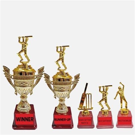 BAREEZE PURE Sports Trophy for Cricket Tournament, Trophy for Winner ...