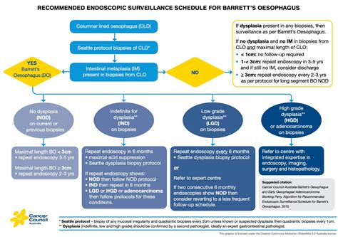 Barrett's Esophagus Guidelines 2021 at Adan Hillyard blog
