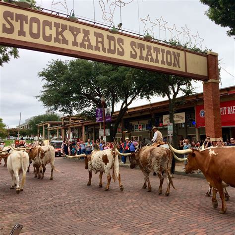 Best Time to Visit Fort Worth Stockyards: Insider Tips