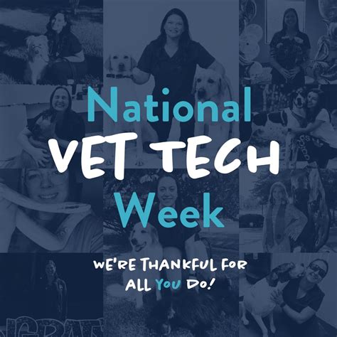 #nationalvettechweek #credentialedveterinarytechnician #vettechjobs | Southern Veterinary Partners