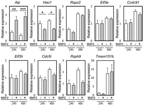 Hao1 Is Not a Pathogenic Factor for Ectopic Ossifications but Functions ...