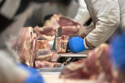 Inside the Meat Processing 的图像结果