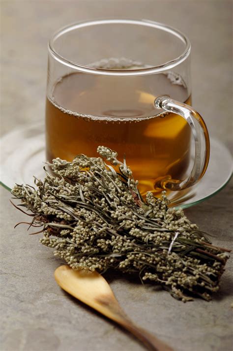 Why K-Beauty Ingredient Mugwort Is Taking Over Your Skin Care | Allure