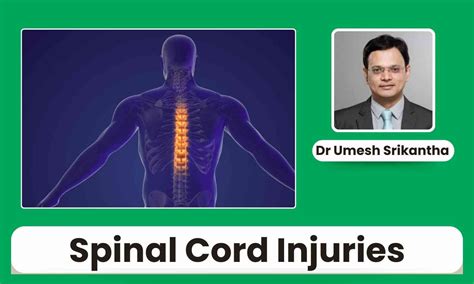 Breaking Down Spinal Cord Injuries: A Comprehensive Guide - Dr Umesh ...