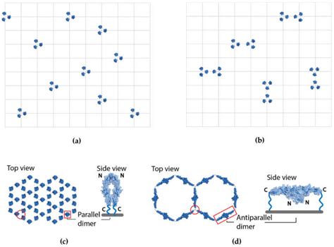 On the TRAIL of Better Therapies: Understanding TNFRSF Structure-Function