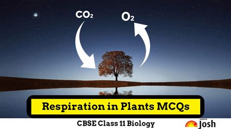 Respiration in Plants Class 11 MCQs: CBSE Biology Chapter 12 Multiple ...