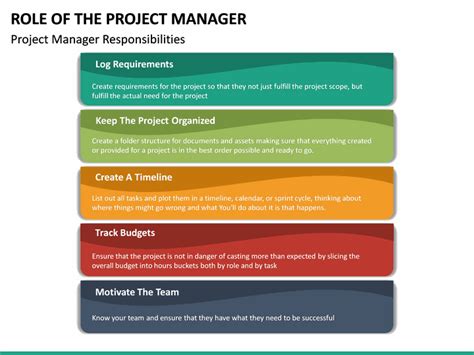 Image result for Advisory Role Project Manager