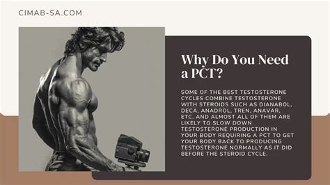 PCT Sample Test 的图像结果