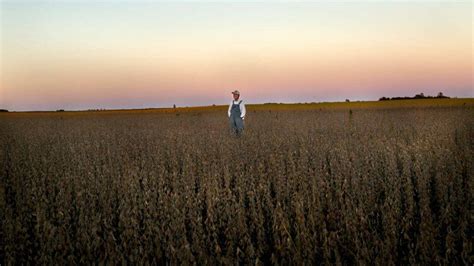 Image result for Genetic Modification Documentary