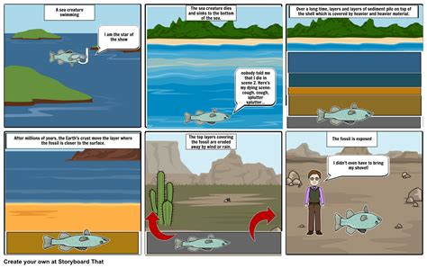 Image result for How Fossils Are Formed Research