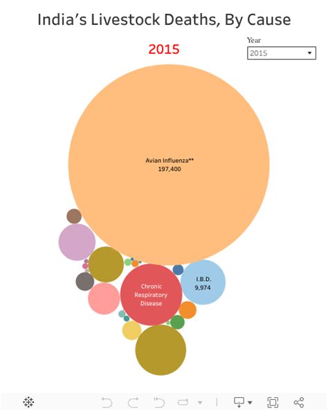 Indian Livestock Deaths Double Over A Decade To 2015
