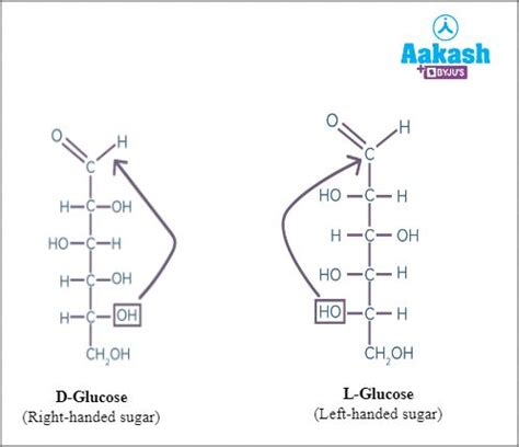 Carbohydrates: Structure, Formula & Classification | AESL