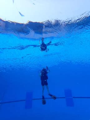 Master Buoyancy in Scuba Diving | Blog | Essential Skills
