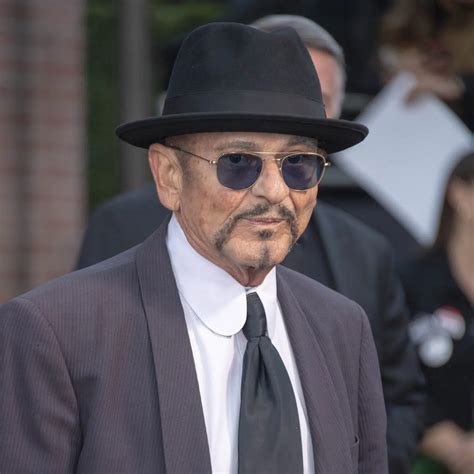 Joe Pesci's Height, Family and Net Worth (Everything You Want to Know)