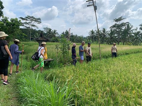 THE BEST Places to Visit in Kelusa (UPDATED 2024) - Tripadvisor