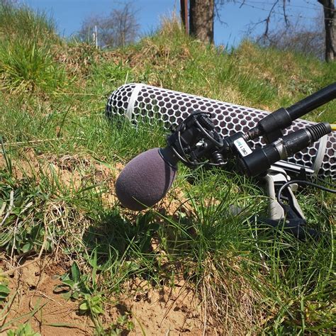 Image result for Sound Effect Insect Spray