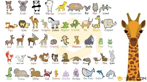69 Domestic Animals Pictures With Names In English | Ricordilu