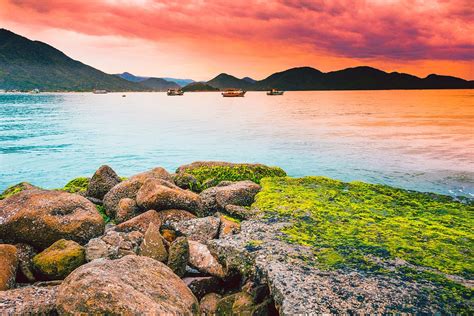 Pixabay Free High Resolution 的图像结果