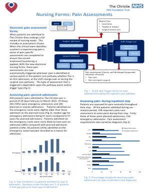 Fillable Online Nursing Forms: Pain Assessments Fax Email Print - pdfFiller
