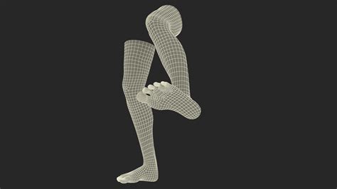 3D Realistic Human Male Legs Rigged for Maya | 3D Molier International