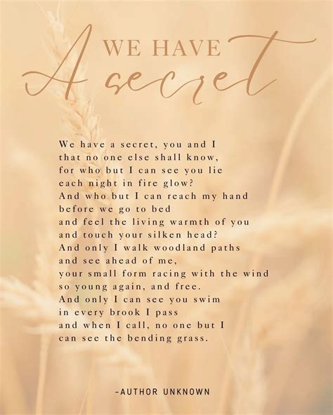 16 Heartfelt Dog Loss Poems For Comfort & Healing | Pretty Fluffy