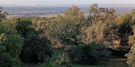 CASA RURAL LA JOSA (Candeleda) - Guesthouse Reviews, Photos, Rate ...