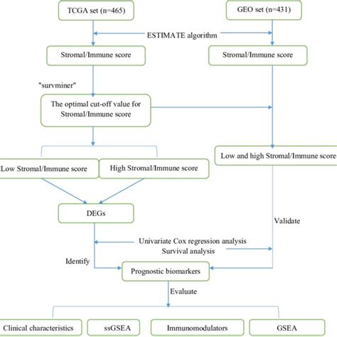 Flowchart TCGA 的图像结果