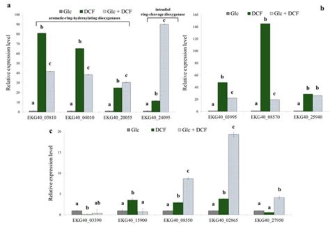 Diclofenac Degradation—Enzymes, Genetic Background and Cellular ...