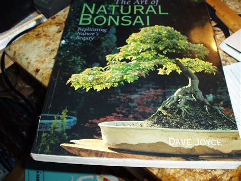 Buy The Art of Natural Bonsai: Replicating Nature's Beauty Book Online ...