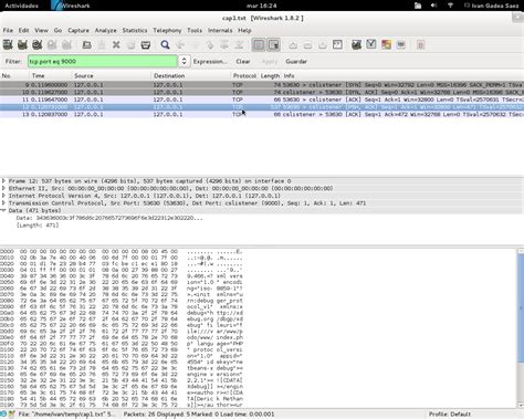 Image result for Debug Netbean