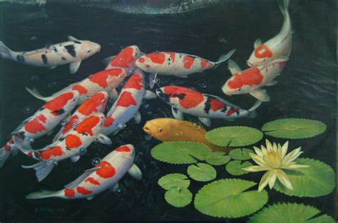Live Koi Fish Wallpapers - Top Free Live Koi Fish Backgrounds ...