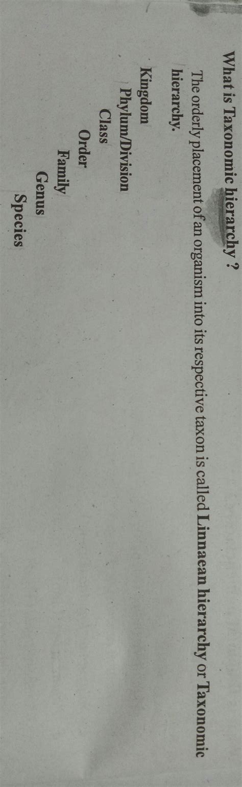 define taxon give some example of taxa at different hierachical levels ...