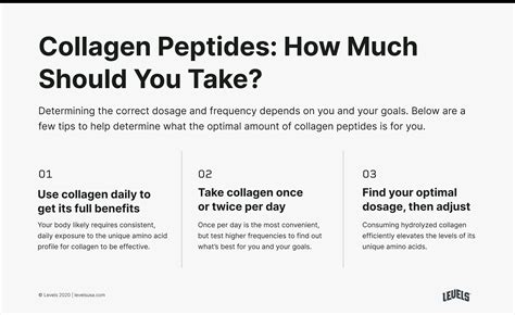 How Much Collagen Per Day? Tips to Find The Perfect Amount - Levels