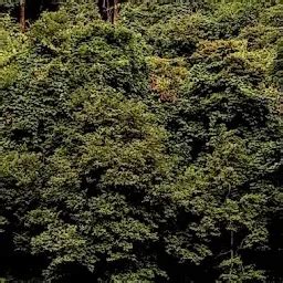 UGRA STAMBHAM - Ahobilam - Hindu temple - Ahobilam - Andhra Pradesh ...