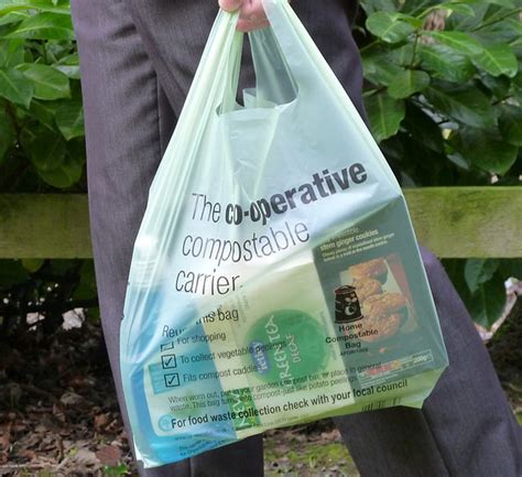 5 Biodegradable Alternatives to Plastic Bags