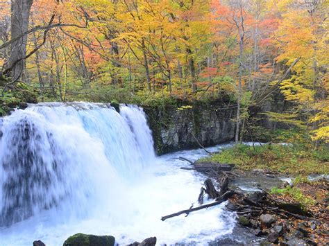 THE 30 BEST Places to Visit in Towada (2026) - Must-See Attractions