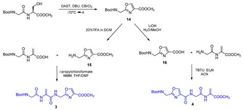 Synthesis of Tetrapeptides Containing Dehydroalanine ...